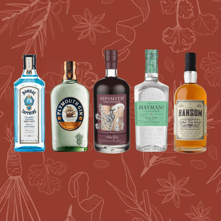 Main Types of Gin